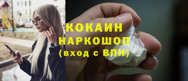 СК Алексин
