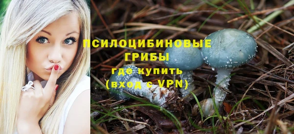 Альфа ПВП Нязепетровск