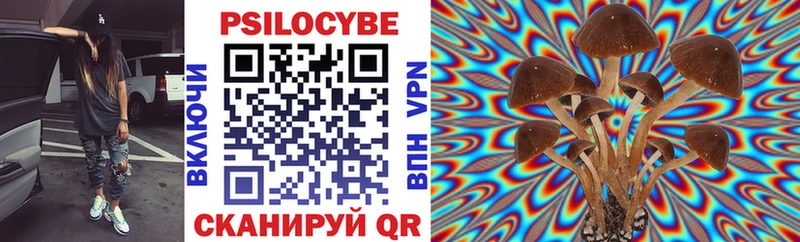 купить  сайты  Удачный  ссылка на мегу онион  Псилоцибиновые грибы Psilocybine cubensis 