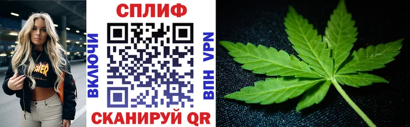kraken маркетплейс  где купить наркотик  Удачный  Шишки марихуана Amnesia 